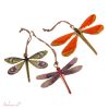 Dragonfly Dubia - set of 3