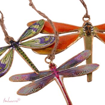 Dragonfly Dubia - set of 3